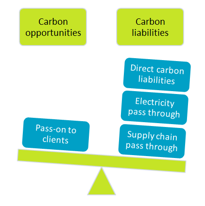 carbon management balance